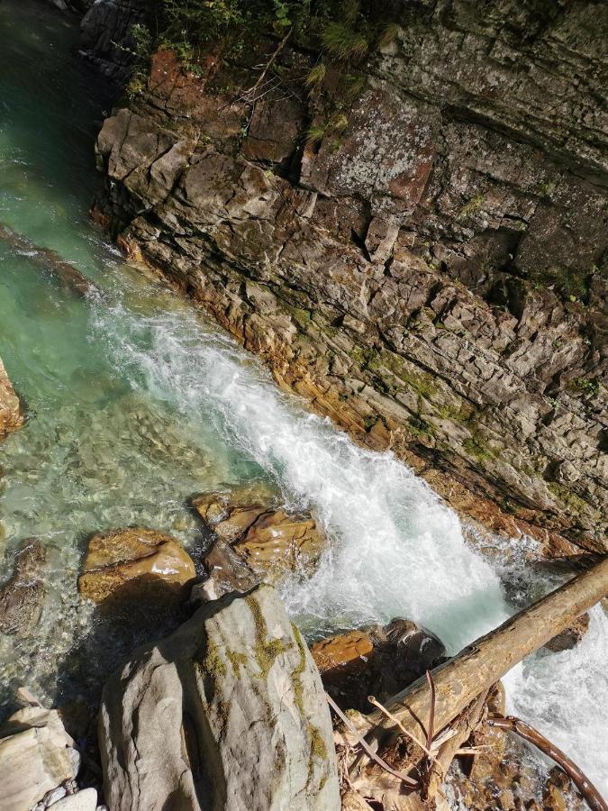 Ferienwohnung Nest Wangen im Allgäu Buitenkant foto
