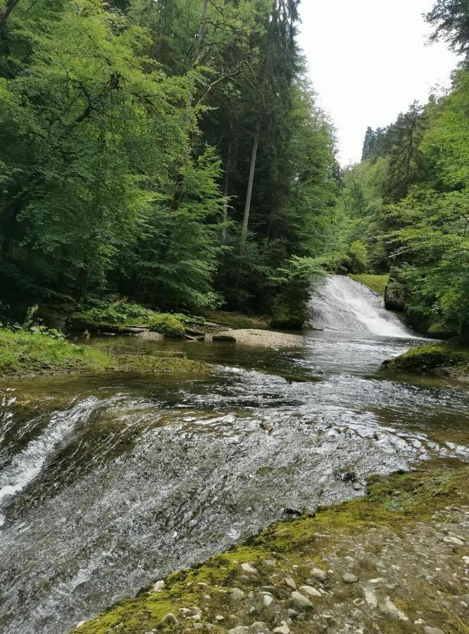 Ferienwohnung Nest Wangen im Allgäu Buitenkant foto